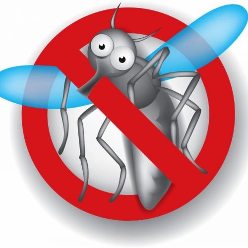Средства защиты от насекомых и грызунов
